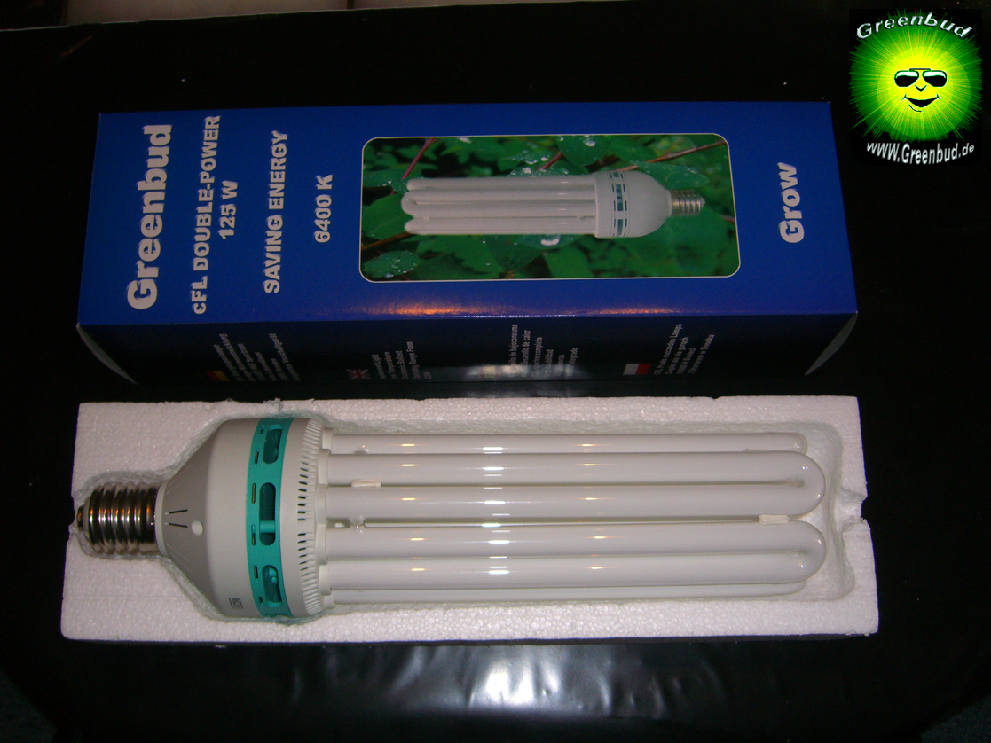 Greenbud 2 x 125-W 250-W Watt Blau Wuchs Energiespar-lampe ESL CFL Grow Pflanzen 
